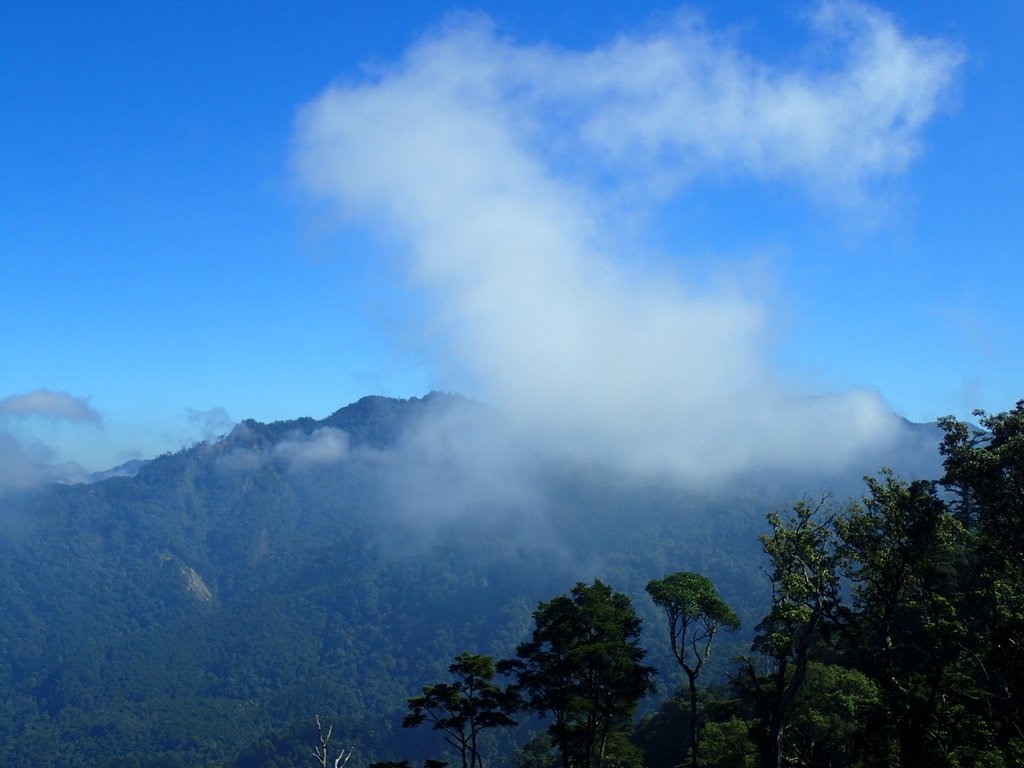 PA185576.JPG - 台中  和平  稍來山