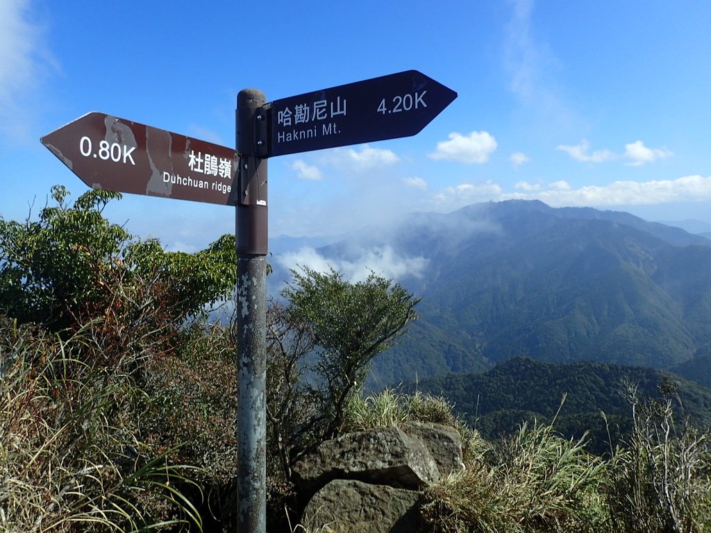 P2034873.JPG - 南庄  加里山