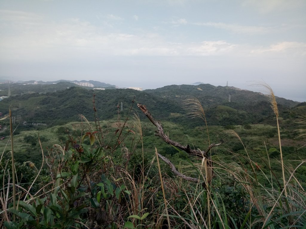 DSC_5278.JPG - 瑞芳  白象山(弘明山) 未竟