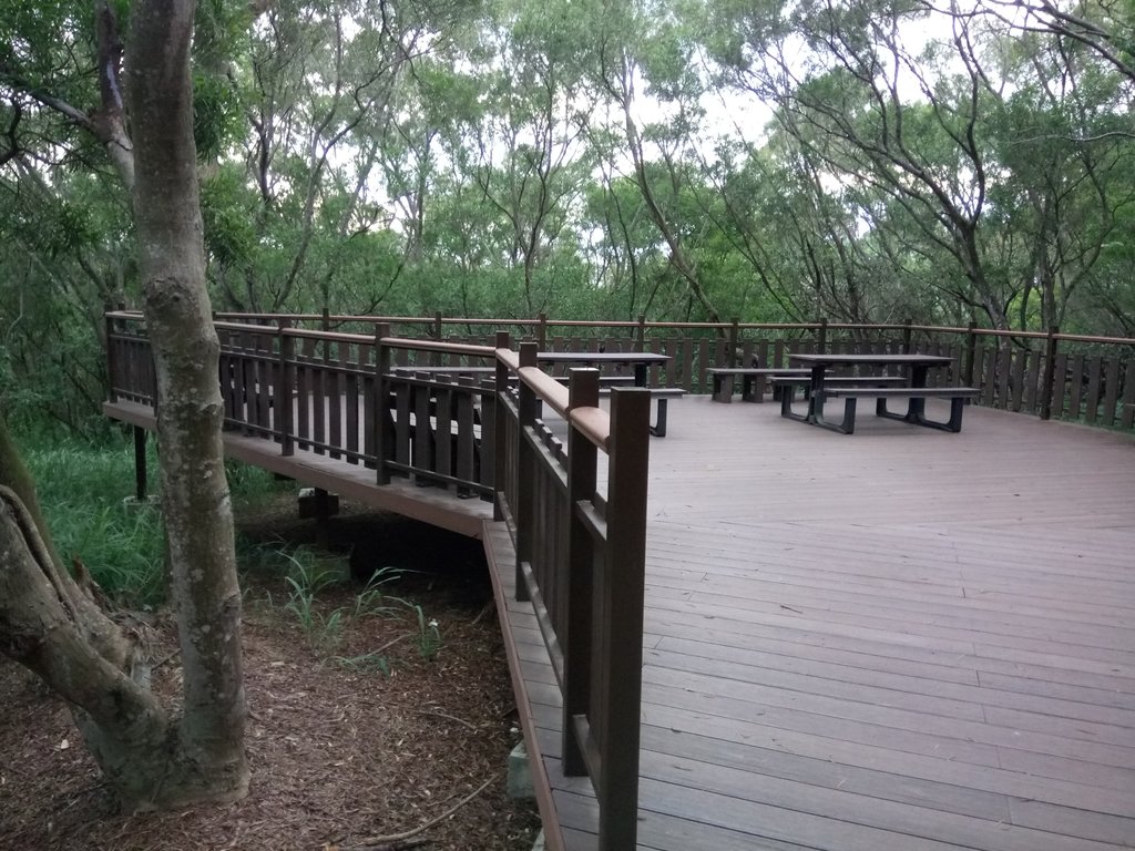 DSC_4010.JPG - 大肚  萬里長城登山步道