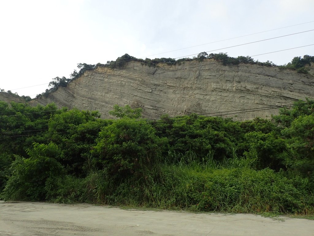 P6285004.JPG - 霧峰  烏溪北岸之  象鼻坑風光