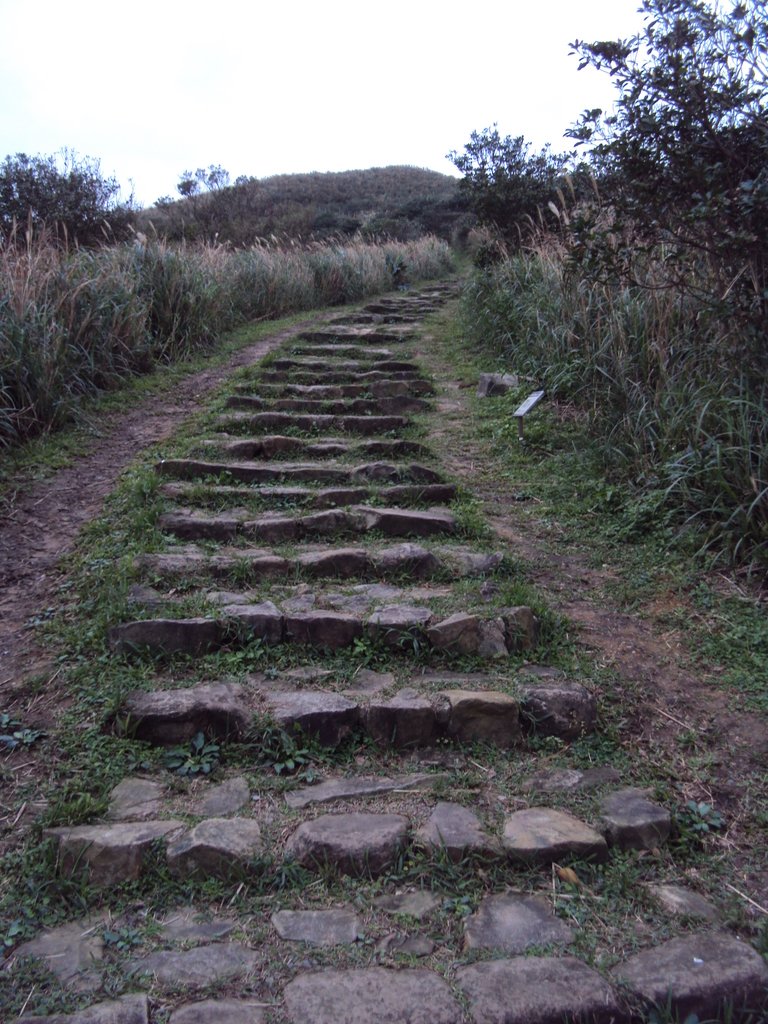 DSC06253.JPG - 瑞芳  南子吝步道