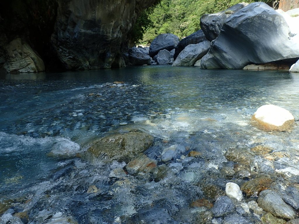 P8120295.JPG - 花蓮  秀林  砂卡噹步道