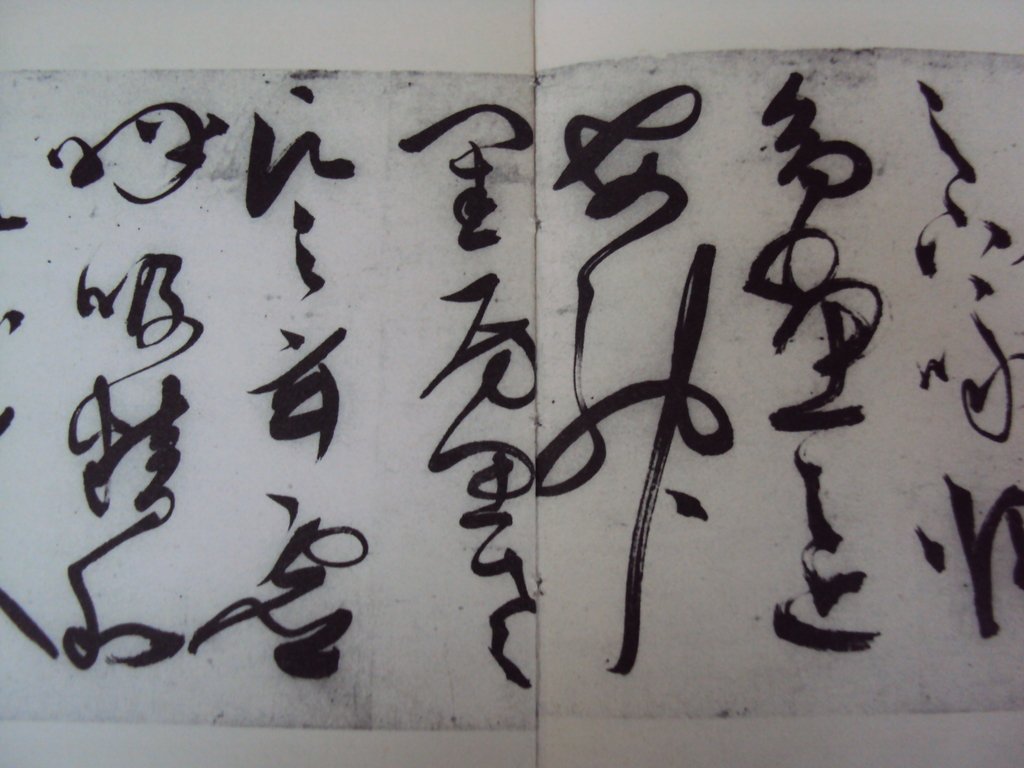 DSC00250.JPG - 陳淳的草書作品