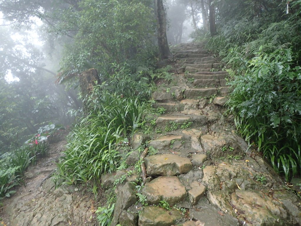 P1062057.JPG - 土城  天上山  登山步道