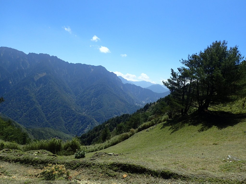 P3268147.JPG - 鹿林山  麟趾山步道  (02)