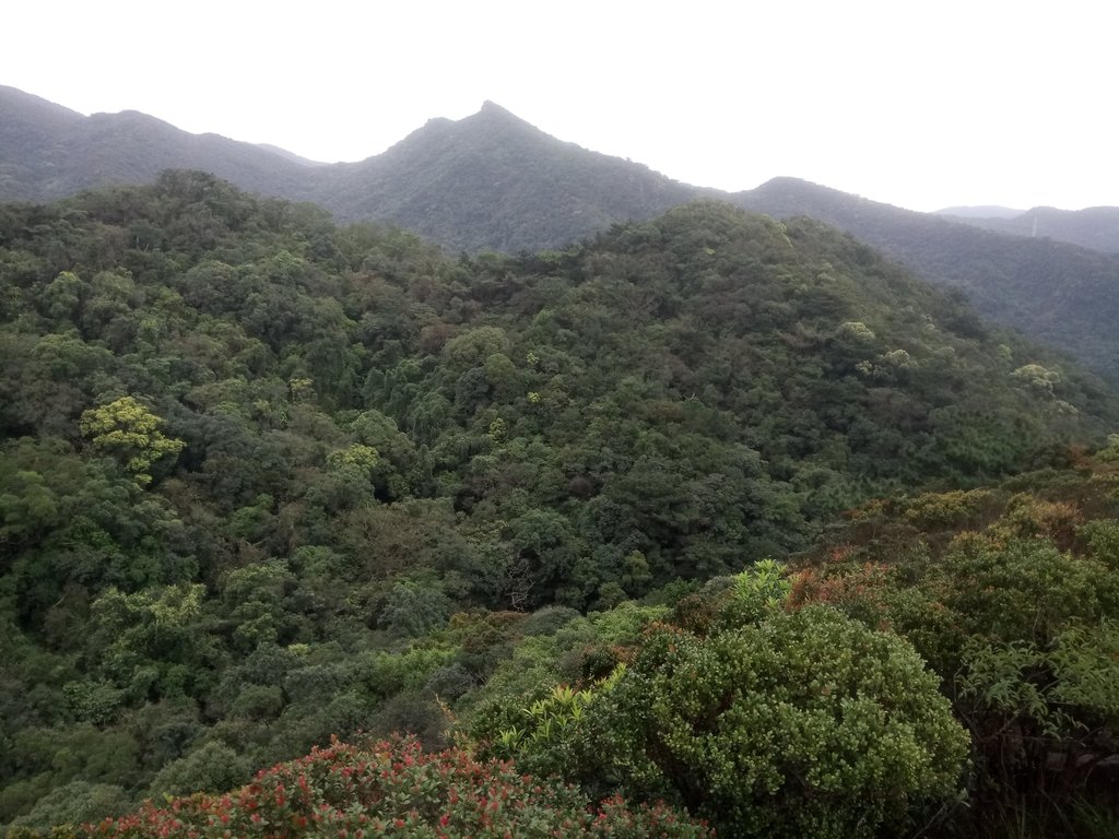 DSC_6993.JPG - 汐止  柯子林山  如意湖