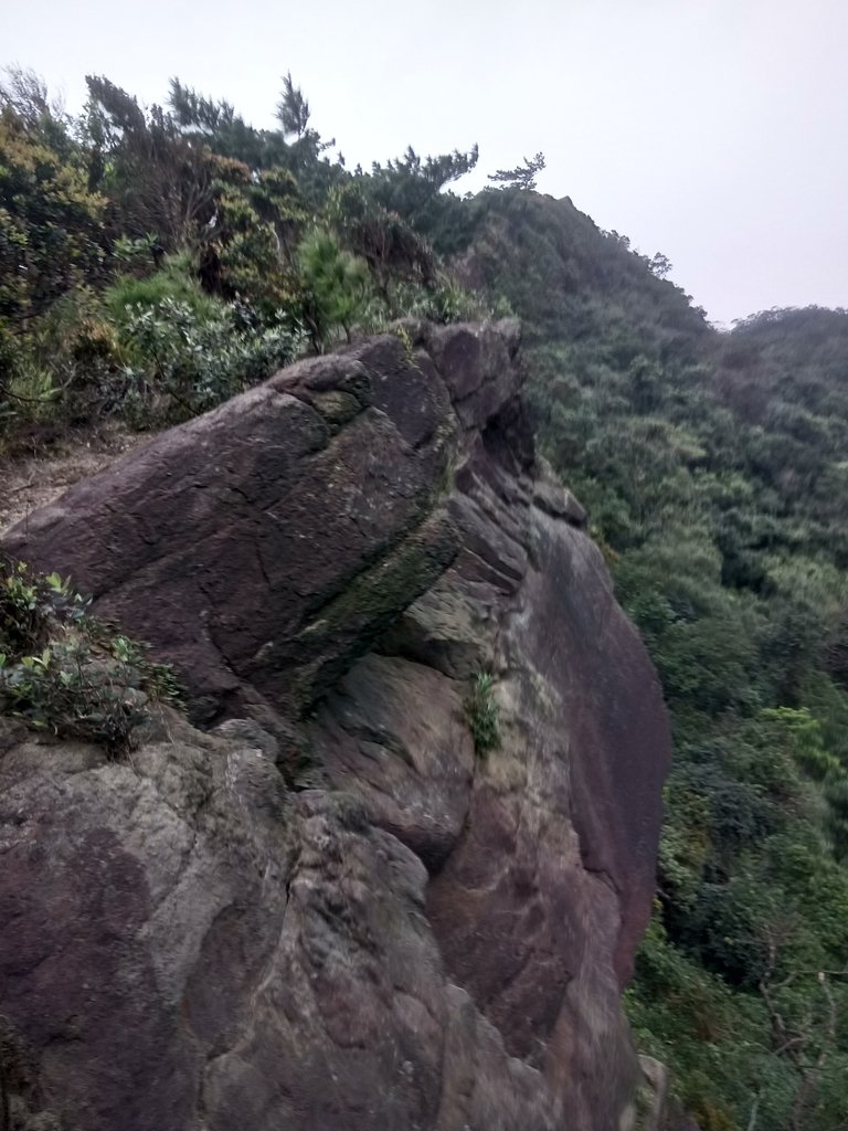 DSC_7046.JPG - 汐止  金面山(金明山)  稜線步道