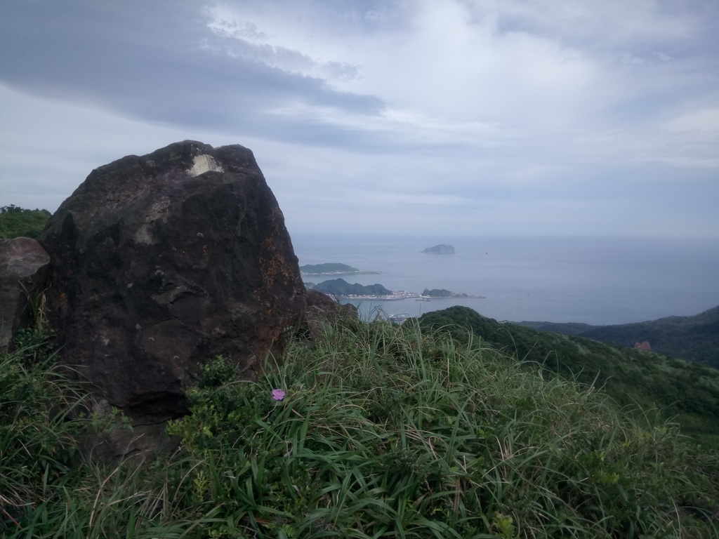 DSC_3387.JPG - 瑞芳  小金瓜山露頭