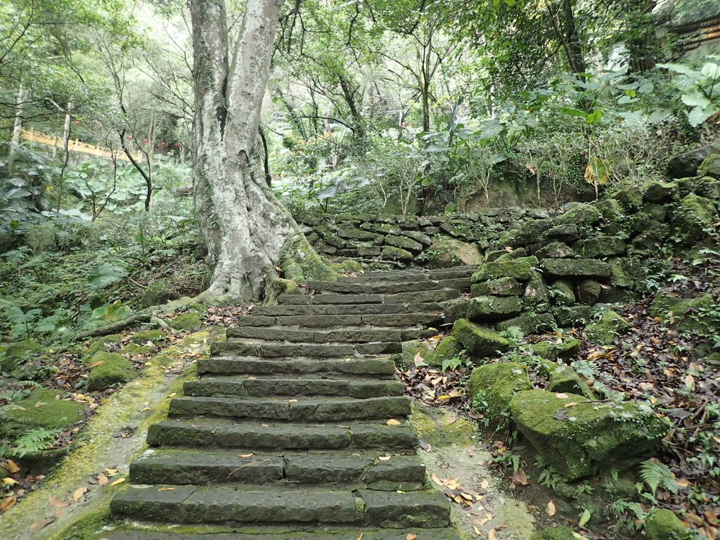 P1294446.JPG - 獅頭山  獅山古道  (01)