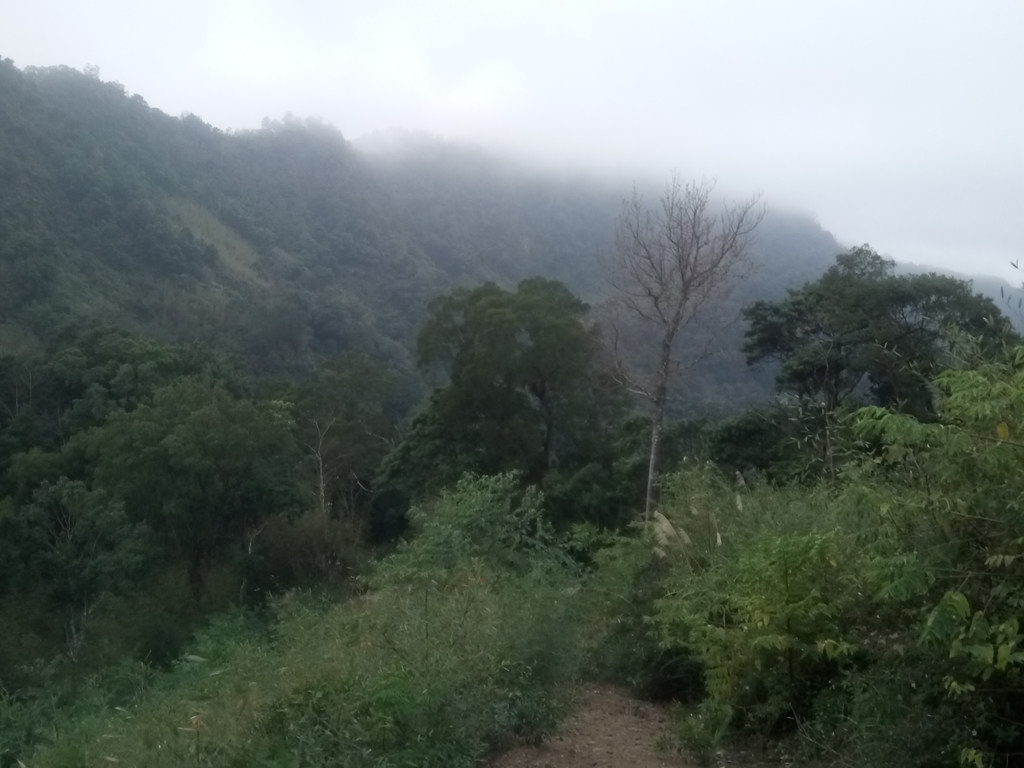 DSC_2878.JPG - 大湖  關刀山步道  (聖關段)