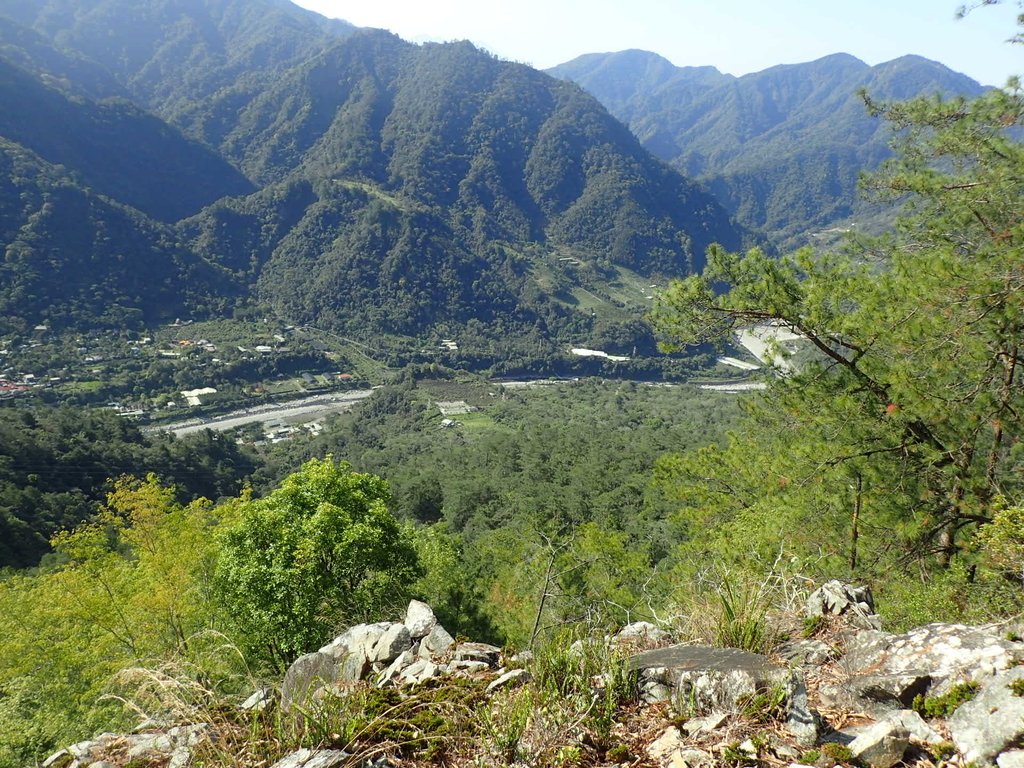 P3167168.JPG - 谷關  東卯山東南稜