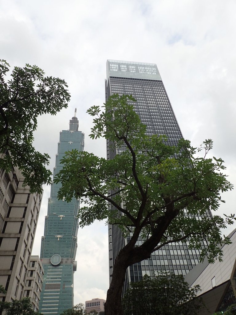 P9163162.JPG - 台北  街路隨拍  (10)