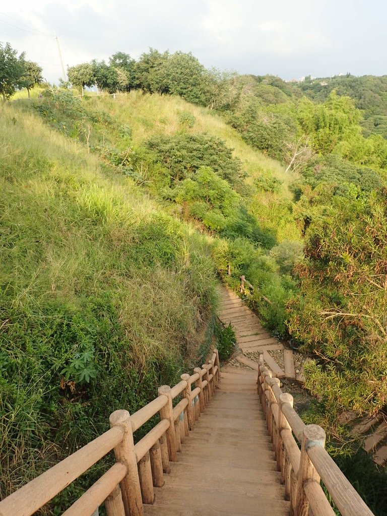 P7296102.JPG - 龍井  竹坑南寮登山步道