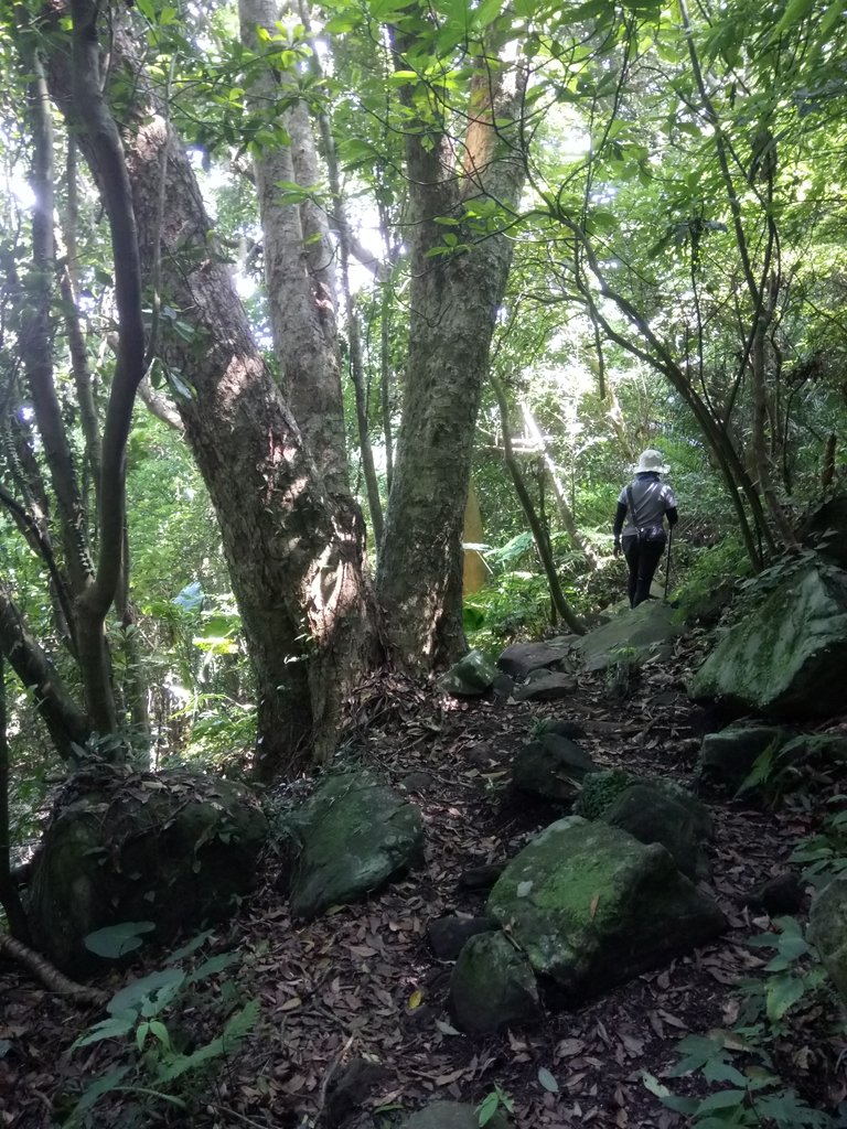 DSC_6896.JPG - 觀音山之  北橫古道