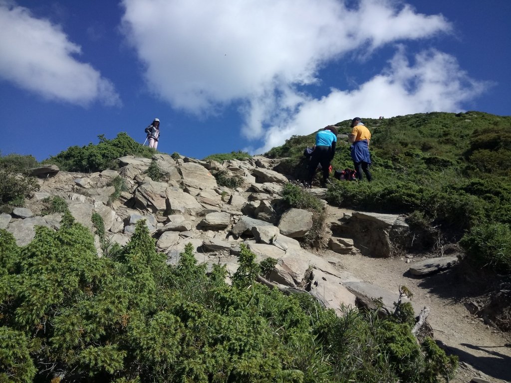 DSC_5335.JPG - 合歡山  北峰之美  (上)