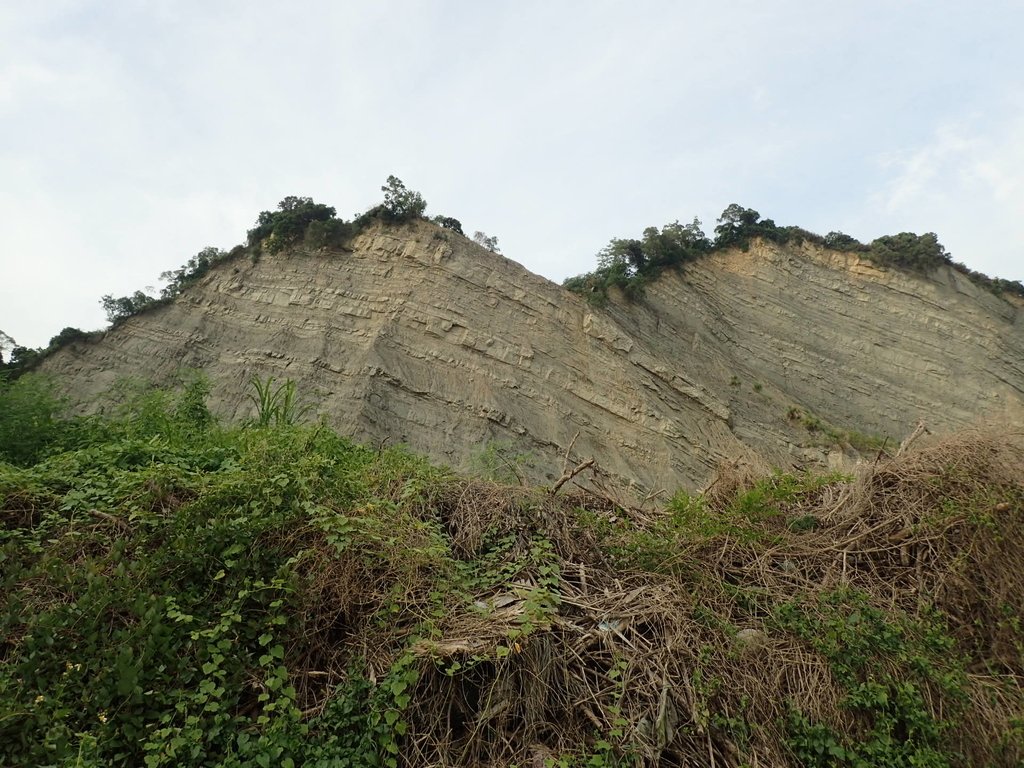 P6285005.JPG - 霧峰  烏溪北岸之  象鼻坑風光