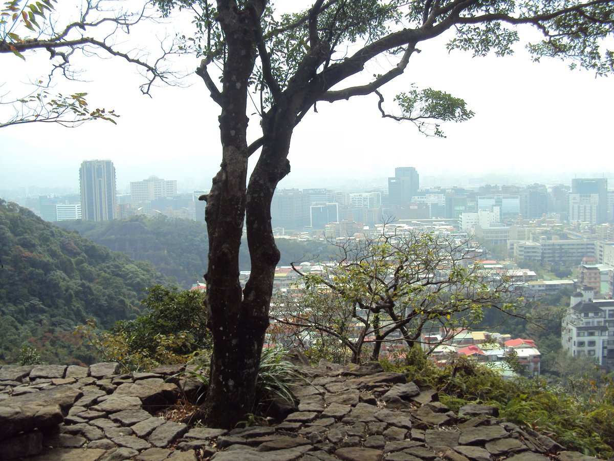 DSC06670.JPG - 內湖  金面山步道