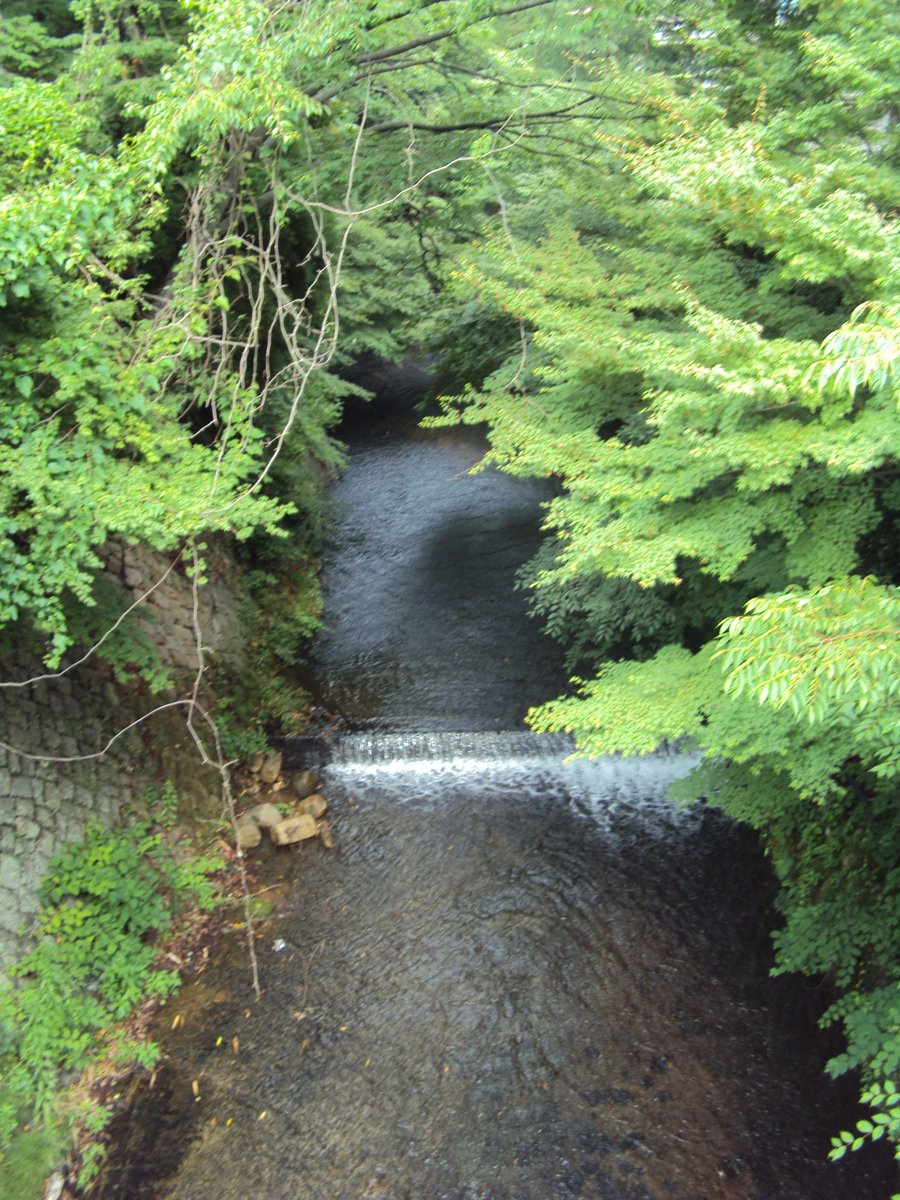 DSC02728.JPG - 有馬  溫泉街道