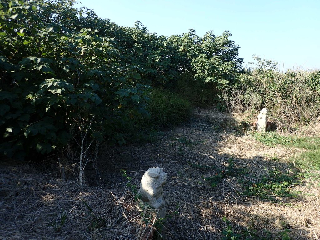 P1017823.JPG - 鹽水  菜園  儒林郎陳敏濟墓