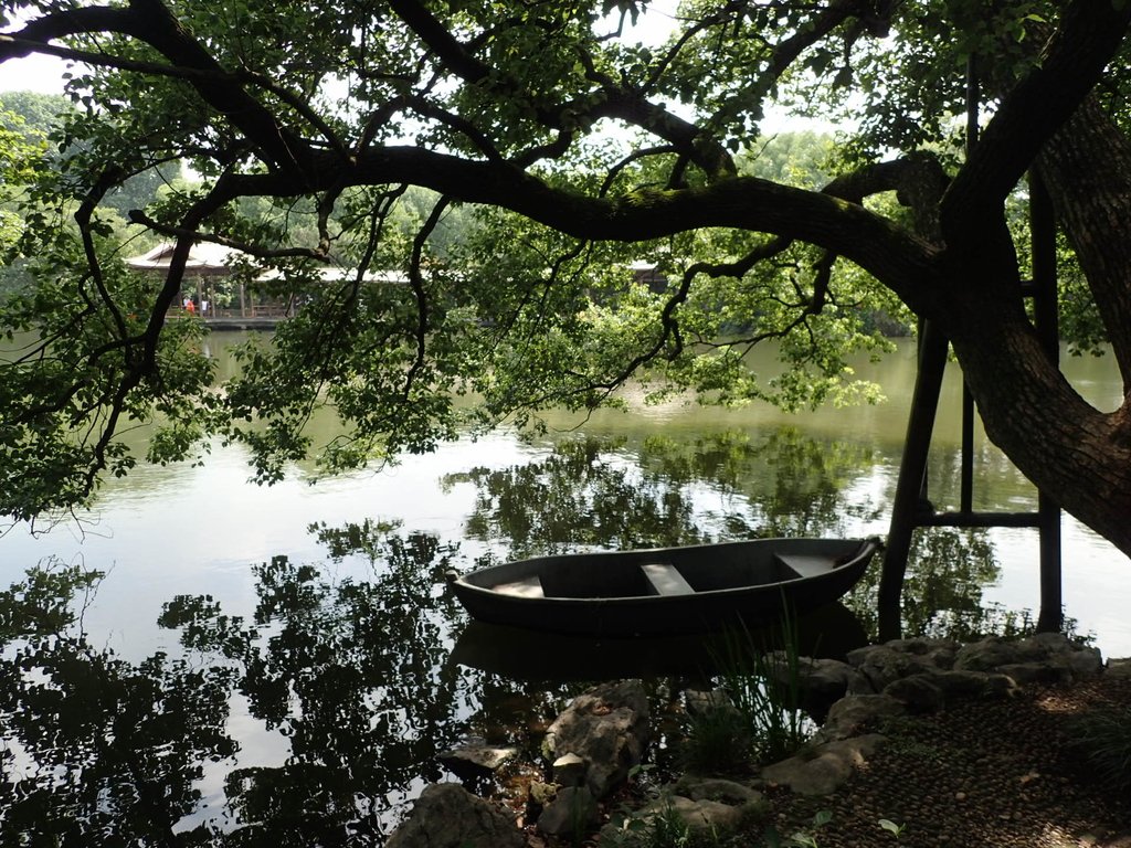 P6063155.JPG - 杭州西湖  花港觀魚