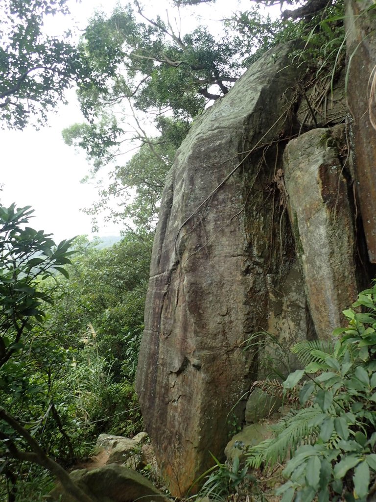 P1122688.JPG - 大直圓山風景區  劍潭山