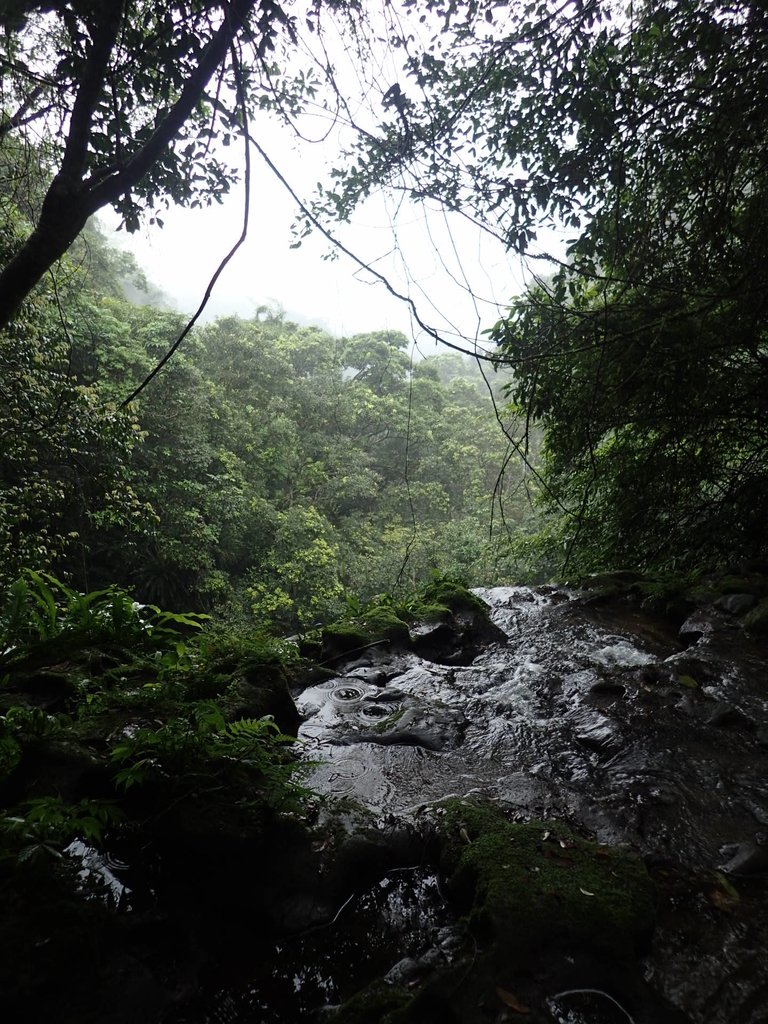 P4051066.JPG - 深坑  炮子崙登山步道