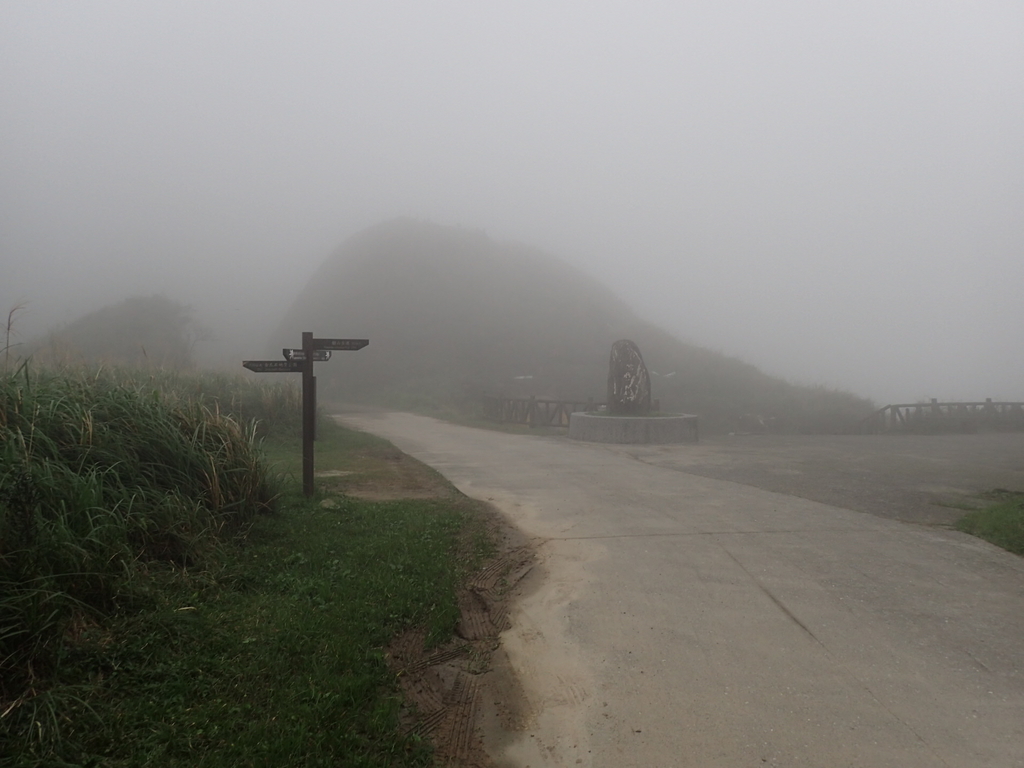 P1203416.JPG - 瑞芳  牡丹山