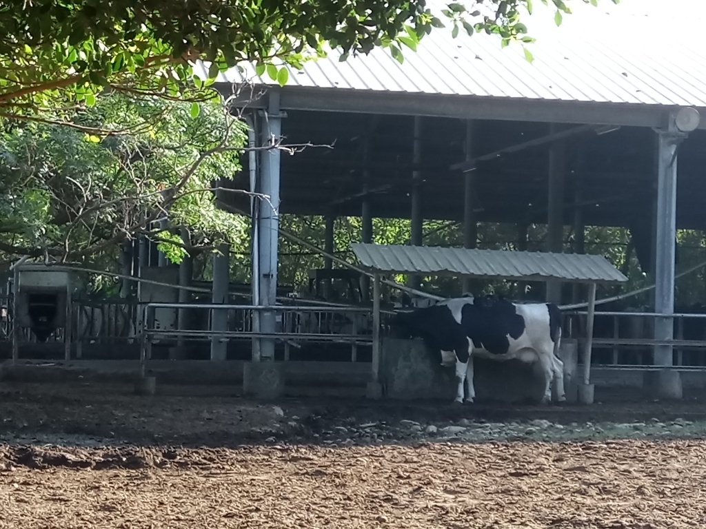 DSC_3264.JPG - 台中  東海大學校園巡禮