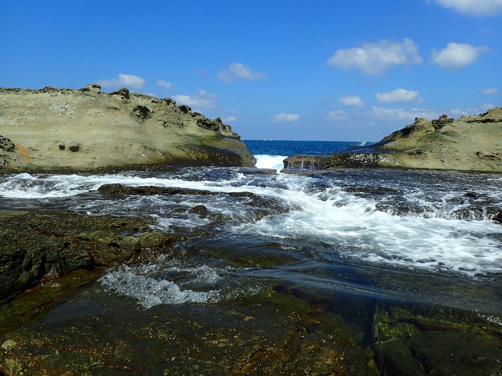 PA115049.JPG - 東北角海岸岩石之美  (03)