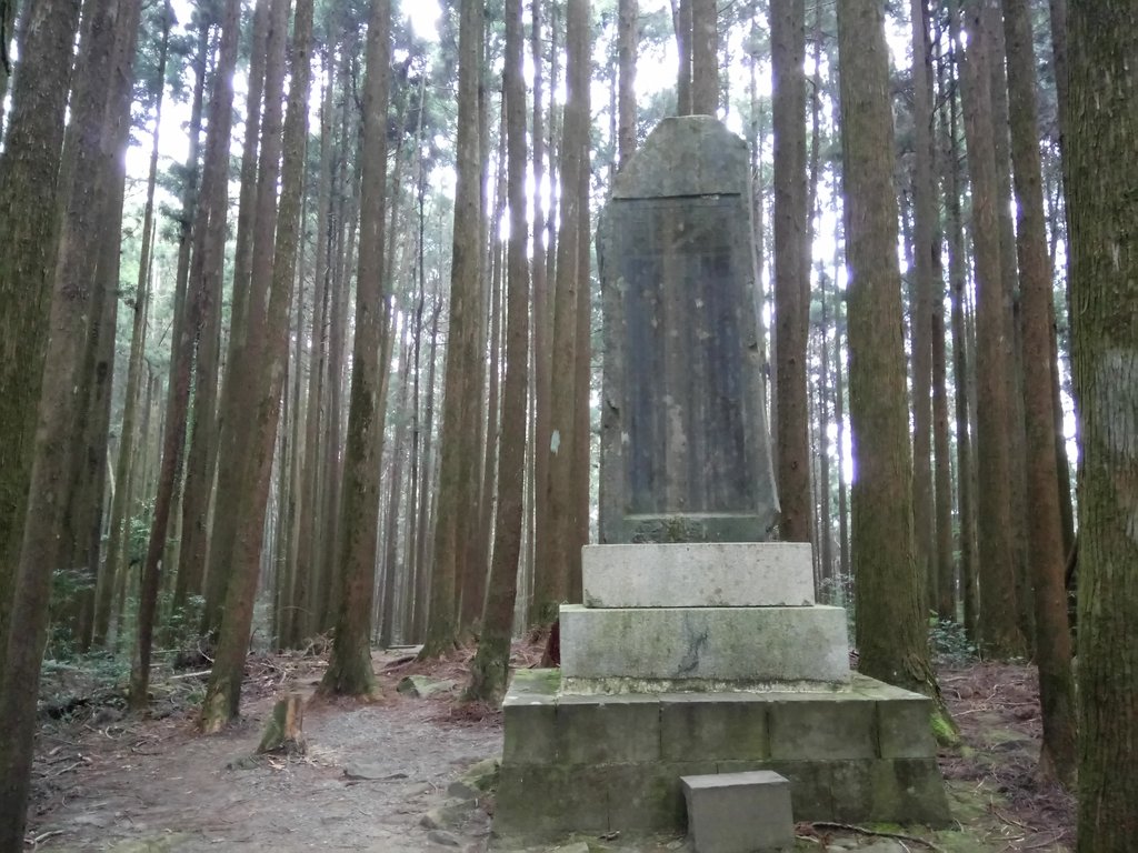 DSC_1560.JPG - 阿里山  二萬坪步道