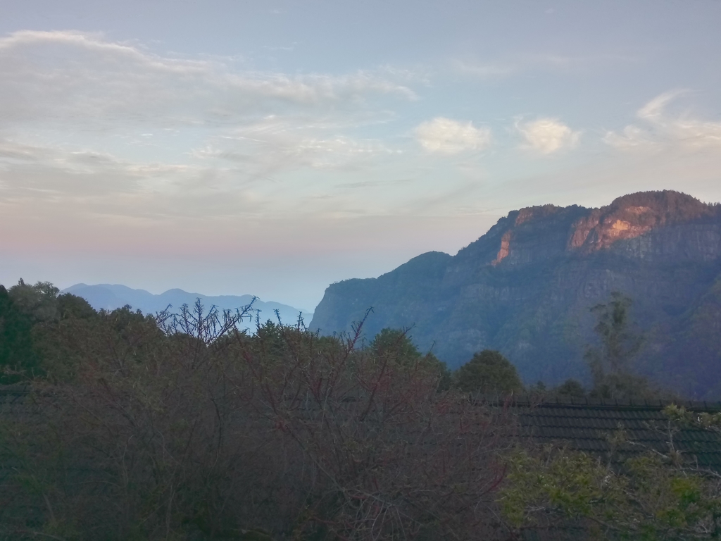 DSC_1621.JPG - 阿里山  沼平公園  賞櫻