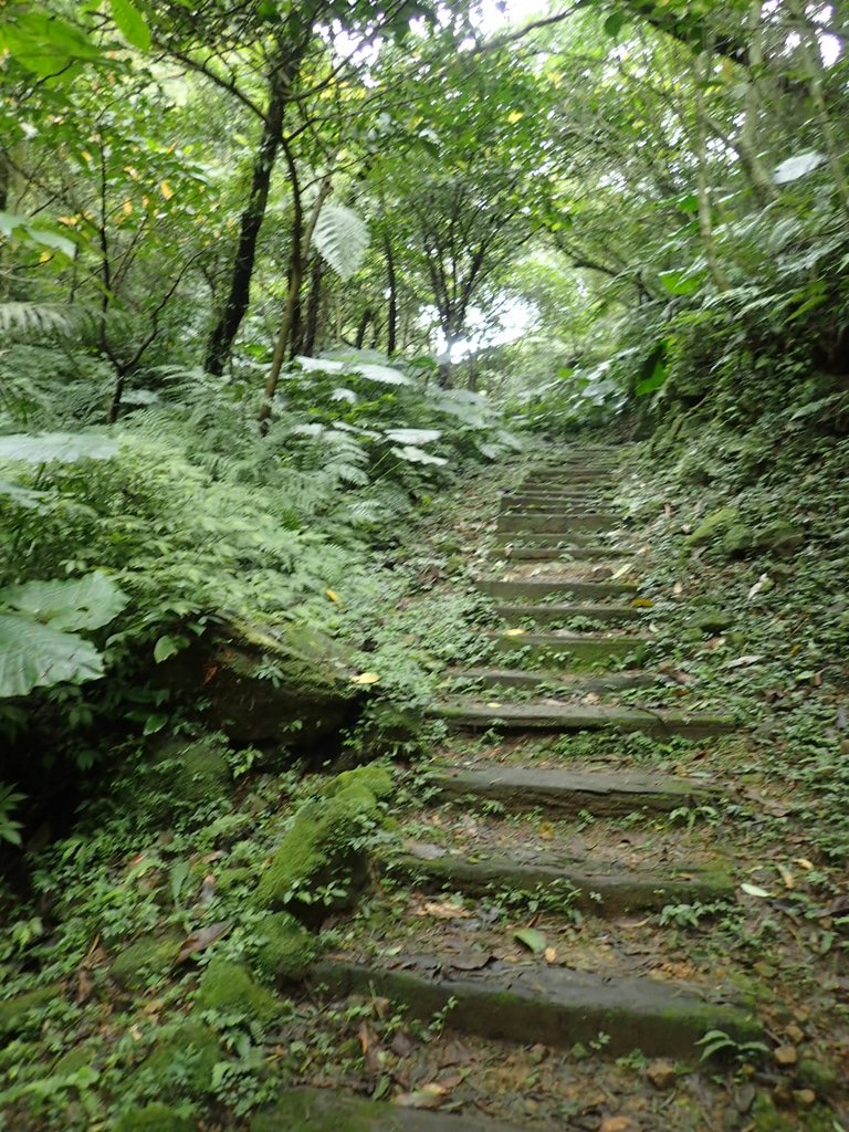 P3018872.JPG - 深坑  土庫岳登山步道  (02)