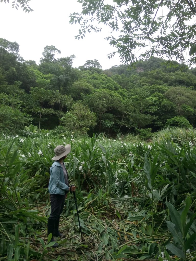 DSC_2767.JPG - 汐止  翠湖  內溝山  老鷲尖