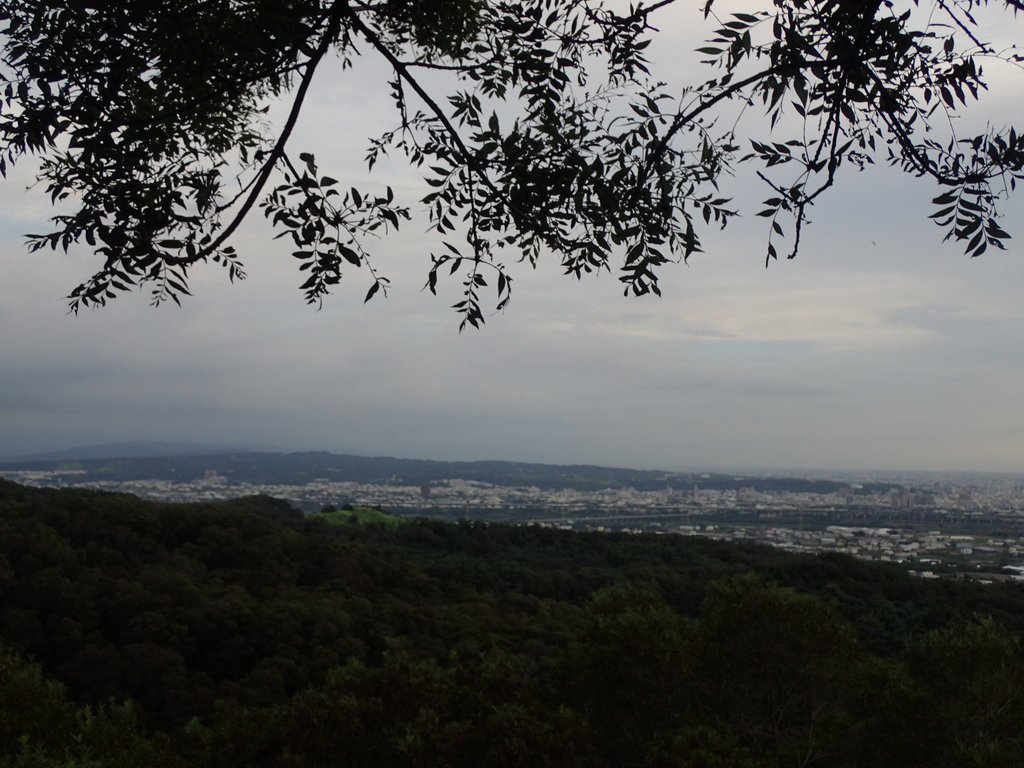 P7105397.JPG - 大肚  萬里長城登山步道