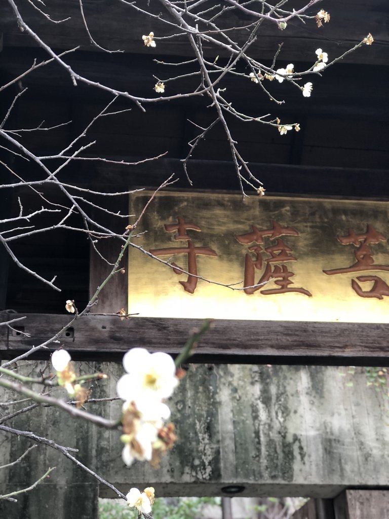 IMG_E0115.JPG - 台中  街路隨拍  (39)