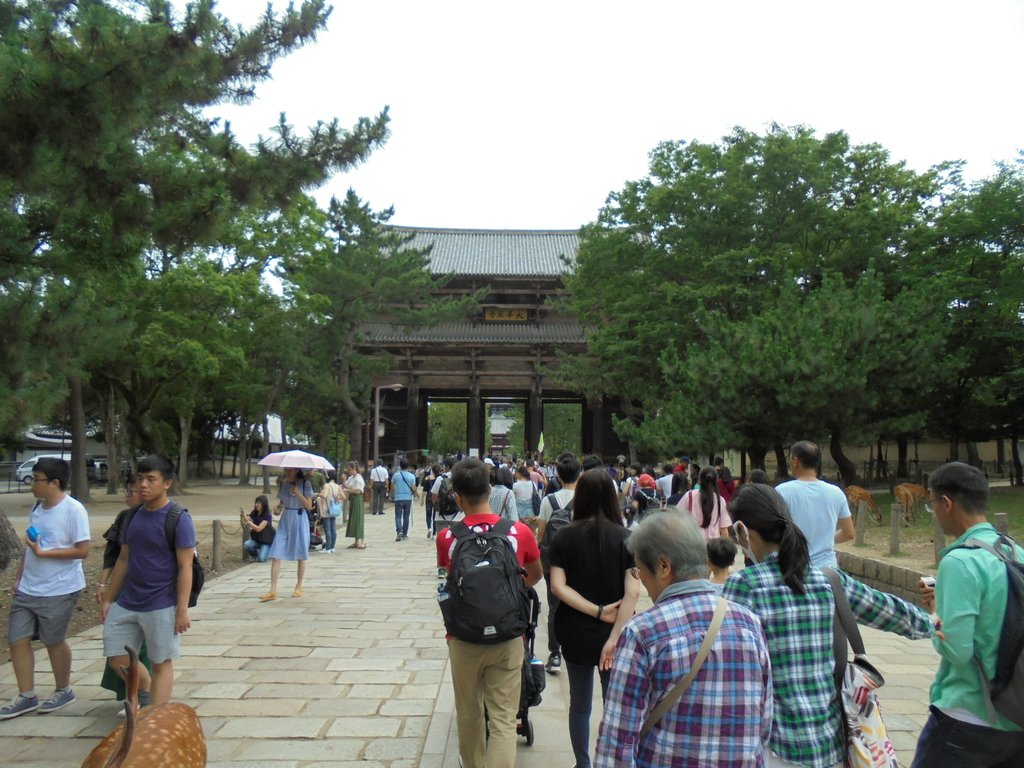 DSC03833.JPG - 奈良  東大寺