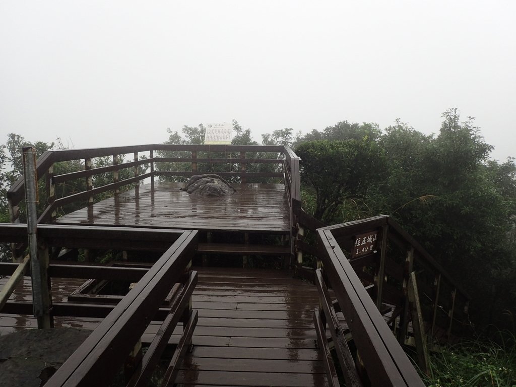 P1062064.JPG - 土城  天上山  登山步道