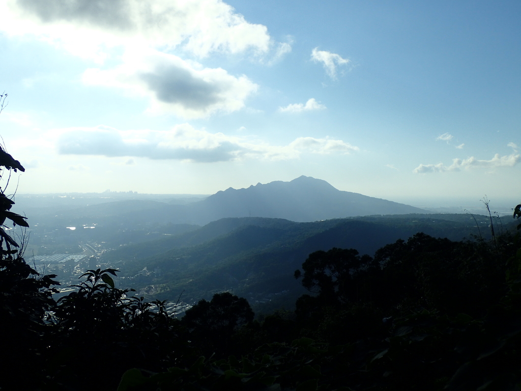 PB247286.JPG - 北投  中正山登山步道 01