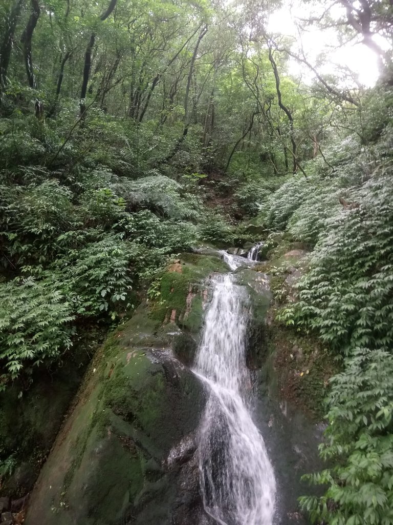 DSC_3555.JPG - 瑞芳  燦光寮古道初探