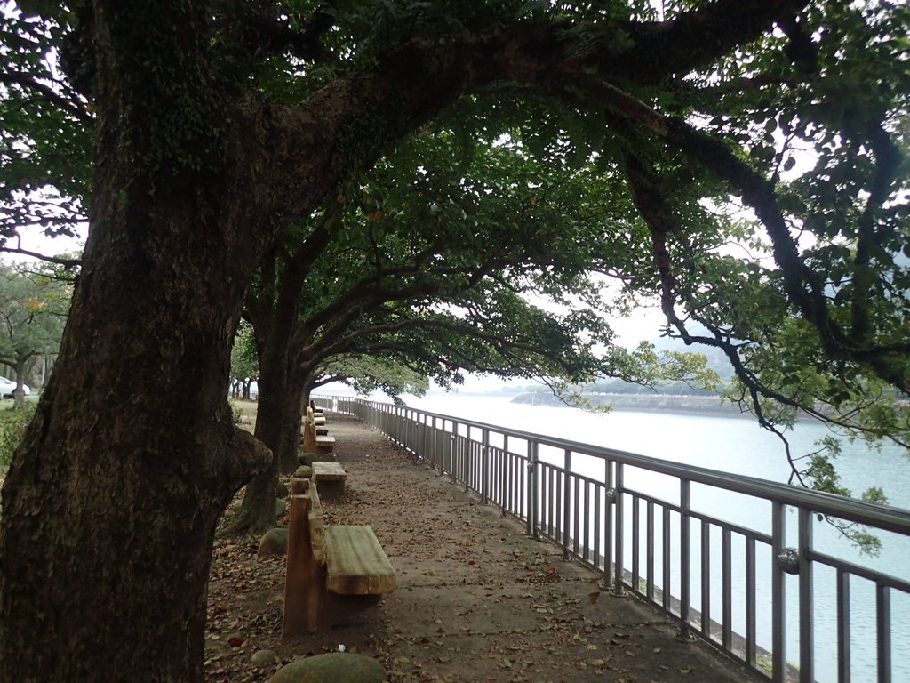 P2107657.JPG - 大溪  石門水庫  後池周遊