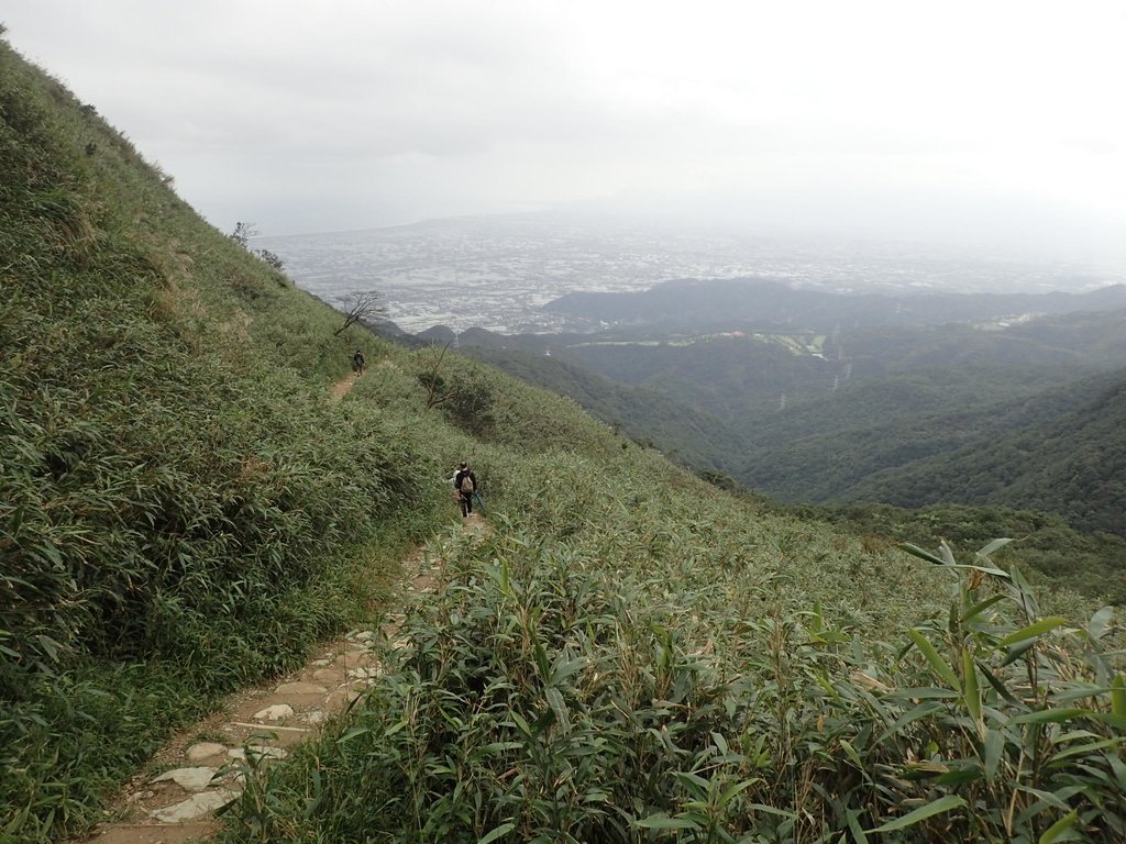 PB159016.JPG - 礁溪  聖母登山步道  (抹茶山)