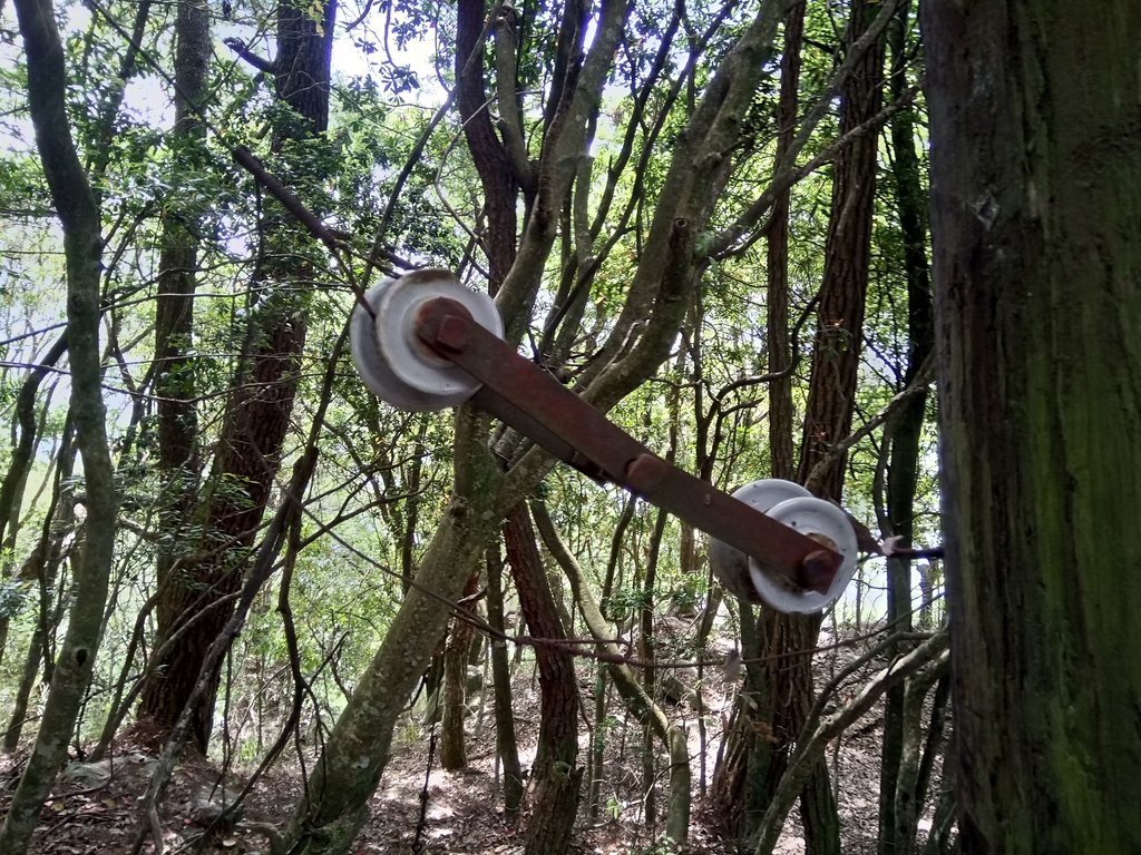 DSC_6491.JPG - 谷關七雄之  波津加山