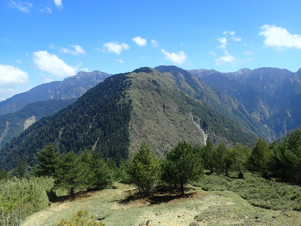 P3268169.JPG - 鹿林山  麟趾山步道  (02)