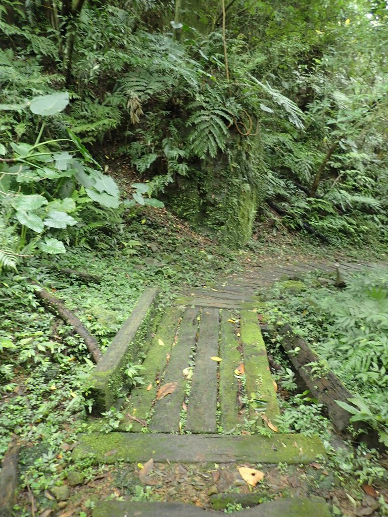 P3018875.JPG - 深坑  土庫岳登山步道  (02)