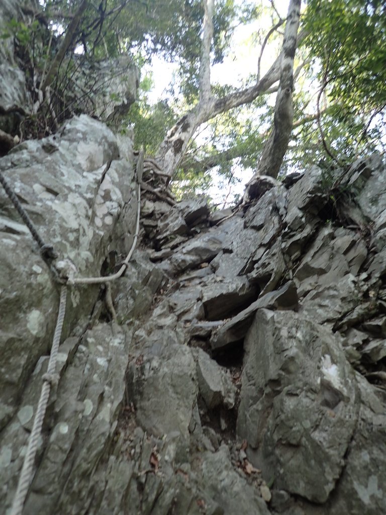 P3167346.JPG - 谷關七雄之  屋我尾山