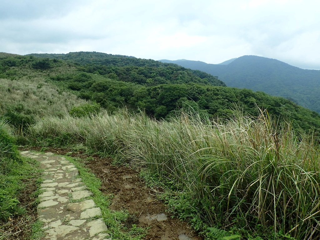 P5303956.JPG - 萬里  風櫃嘴  頂山