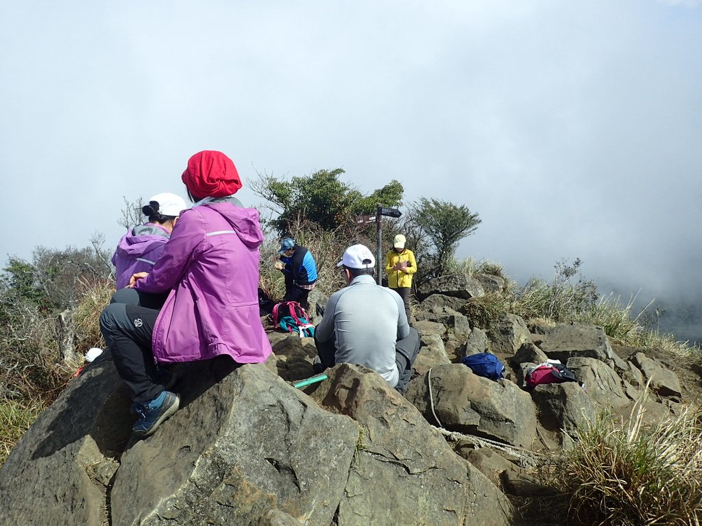 P2034886.JPG - 南庄  加里山