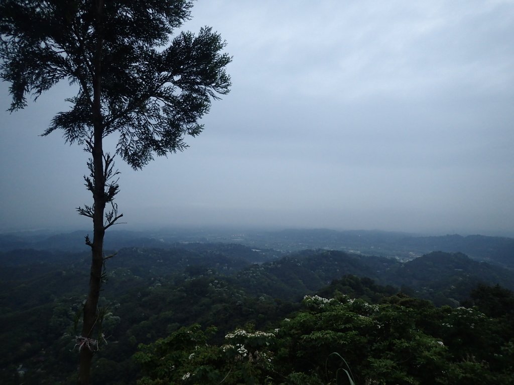 P4191853.JPG - 南庄  細湖頂  山中夜色