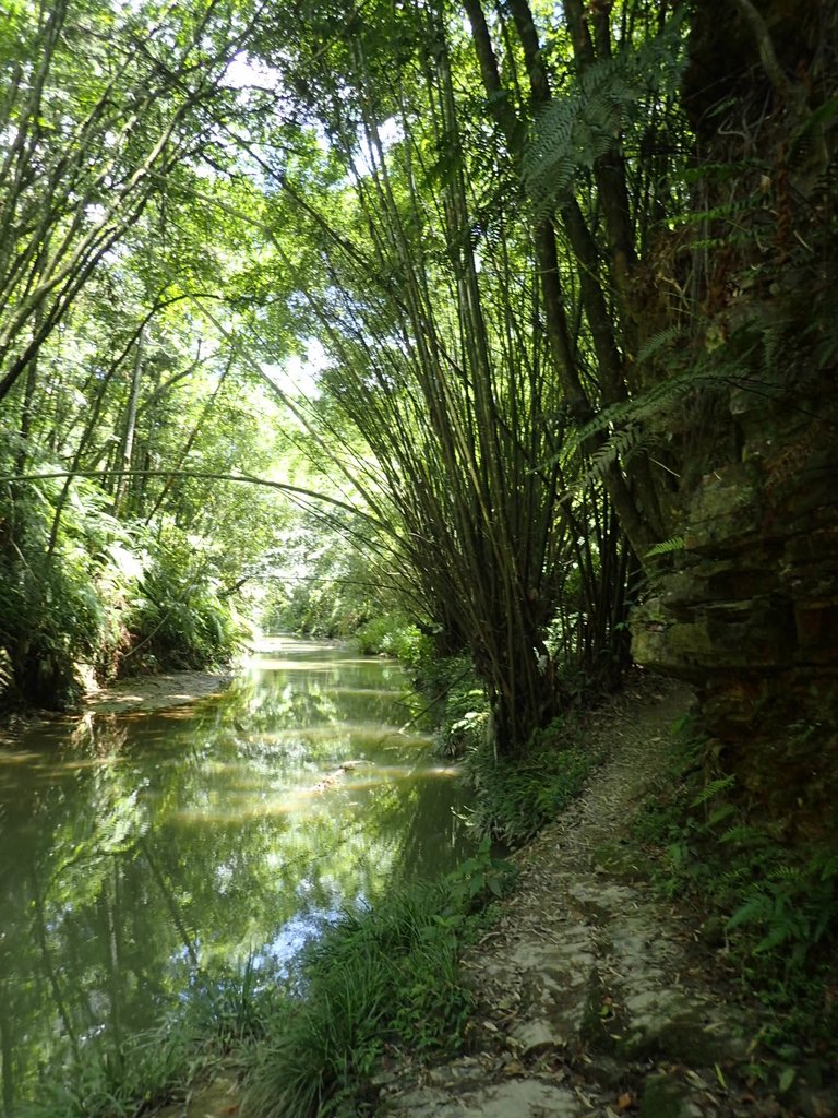 P6284893.JPG - 魚池  澀水森林步道  水上瀑布